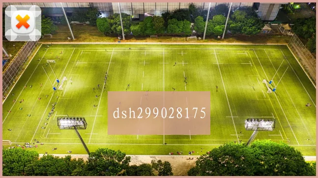 dsh299028175