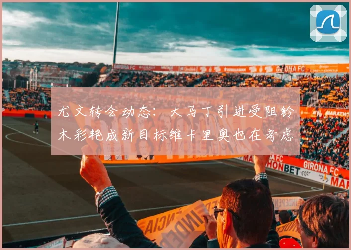 尤文转会动态：大马丁引进受阻铃木彩艳成新目标维卡里奥也在考虑中