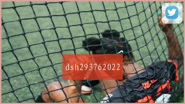 dsh293762022