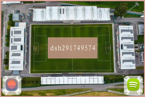 dsh291749574