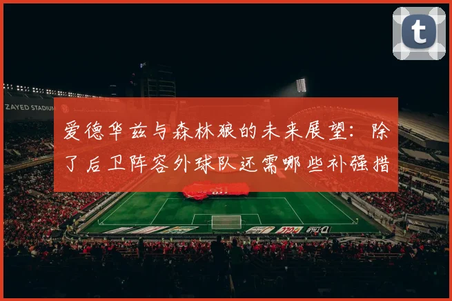 爱德华兹与森林狼的未来展望：除了后卫阵容外球队还需哪些补强措施